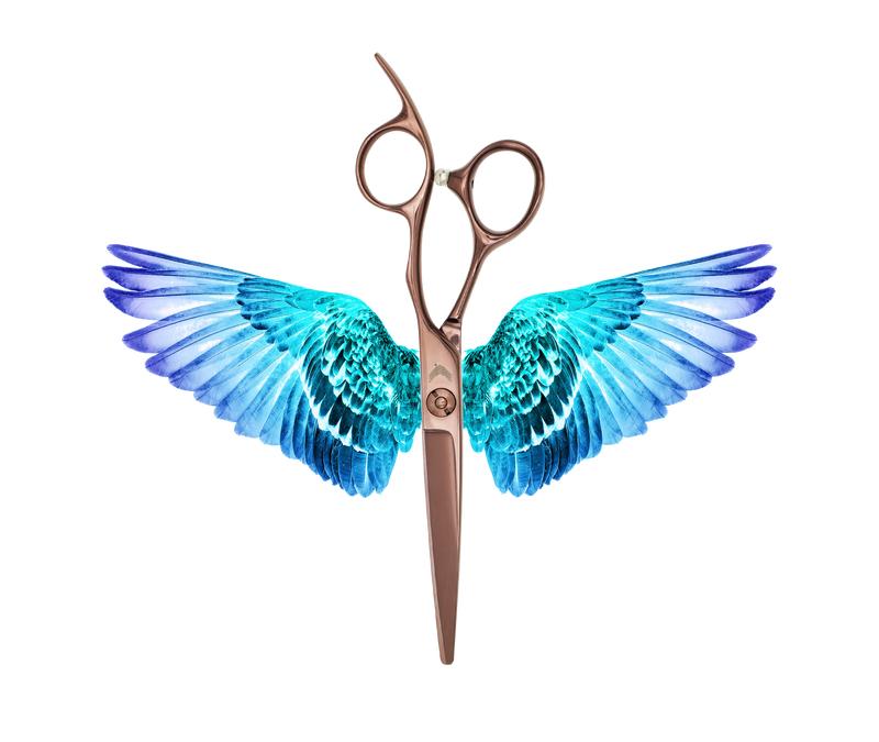 I18n Error: Missing interpolation value "ImageAlt" for "Carica immagine in Galleria Viewer, {{ ImageAlt }}"