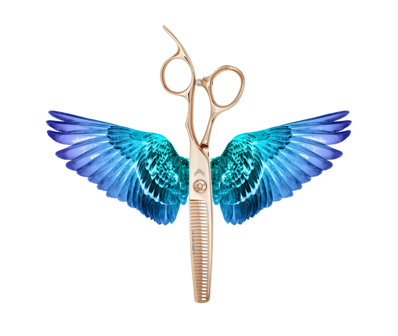 I18n Error: Missing interpolation value "ImageAlt" for "Carica immagine in Galleria Viewer, {{ ImageAlt }}"