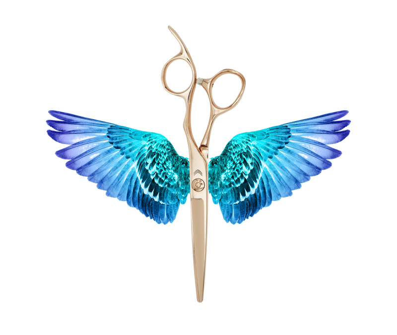 I18n Error: Missing interpolation value "ImageAlt" for "Carica immagine in Galleria Viewer, {{ ImageAlt }}"