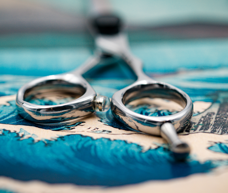 I18n Error: Missing interpolation value "ImageAlt" for "Carica immagine in Galleria Viewer, {{ ImageAlt }}"