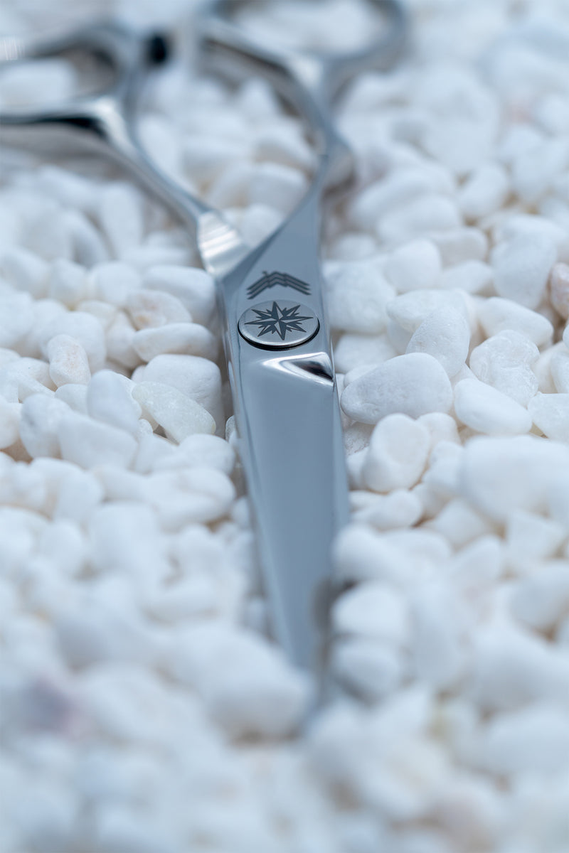 I18n Error: Missing interpolation value "ImageAlt" for "Carica immagine in Galleria Viewer, {{ ImageAlt }}"