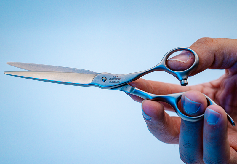 I18n Error: Missing interpolation value "ImageAlt" for "Carica immagine in Galleria Viewer, {{ ImageAlt }}"