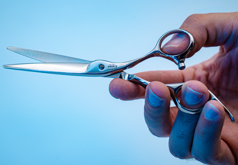 I18n Error: Missing interpolation value "ImageAlt" for "Carica immagine in Galleria Viewer, {{ ImageAlt }}"