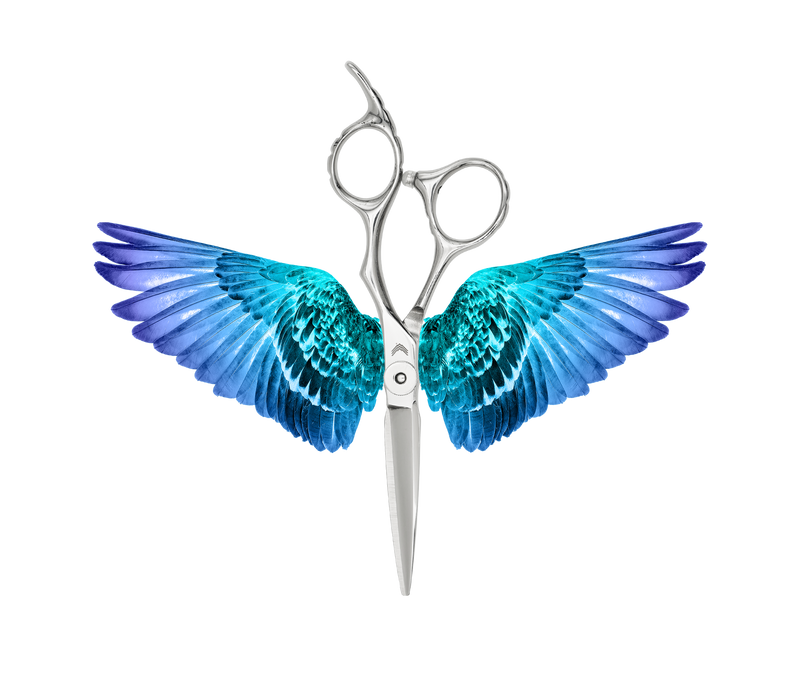 I18n Error: Missing interpolation value "ImageAlt" for "Carica immagine in Galleria Viewer, {{ ImageAlt }}"