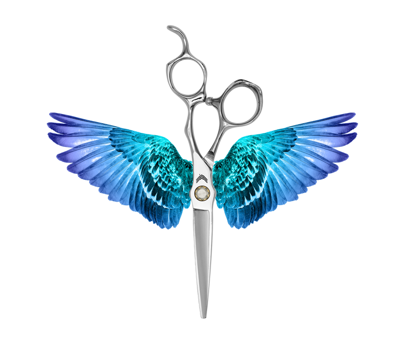 I18n Error: Missing interpolation value "ImageAlt" for "Carica immagine in Galleria Viewer, {{ ImageAlt }}"