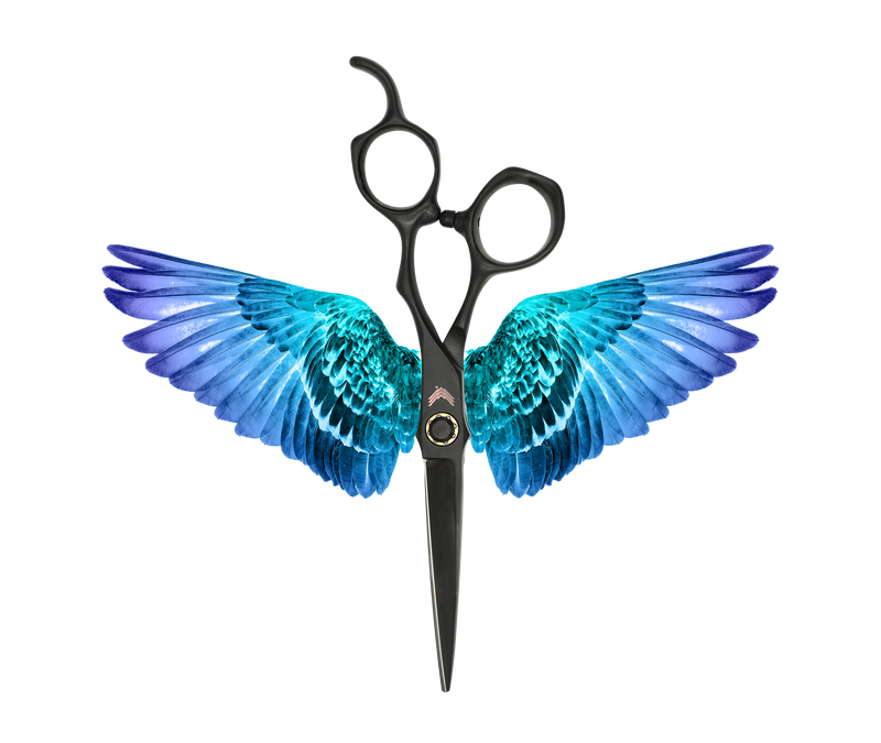 I18n Error: Missing interpolation value "ImageAlt" for "Carica immagine in Galleria Viewer, {{ ImageAlt }}"