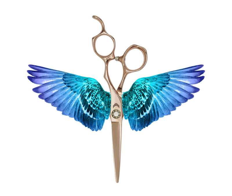 I18n Error: Missing interpolation value "ImageAlt" for "Carica immagine in Galleria Viewer, {{ ImageAlt }}"