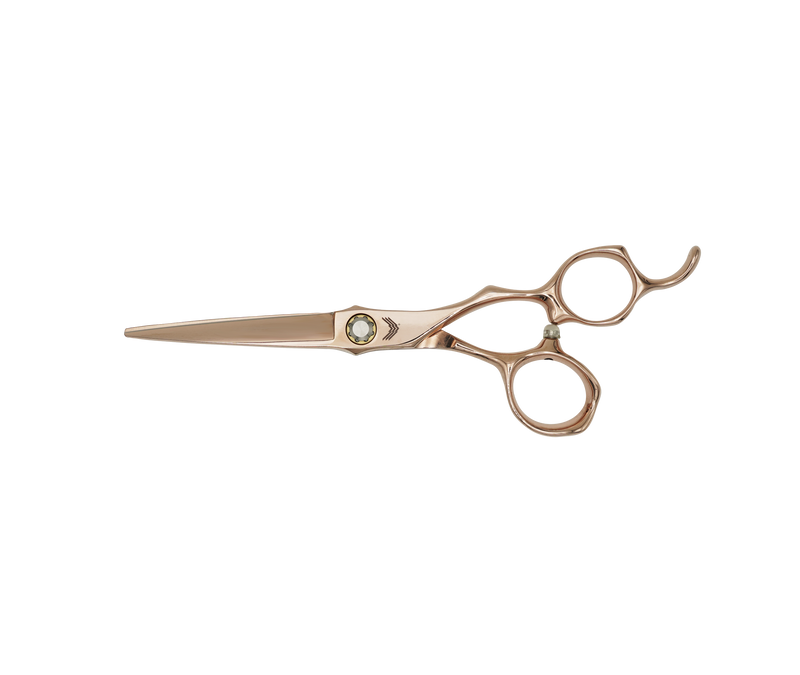 I18n Error: Missing interpolation value "ImageAlt" for "Carica immagine in Galleria Viewer, {{ ImageAlt }}"