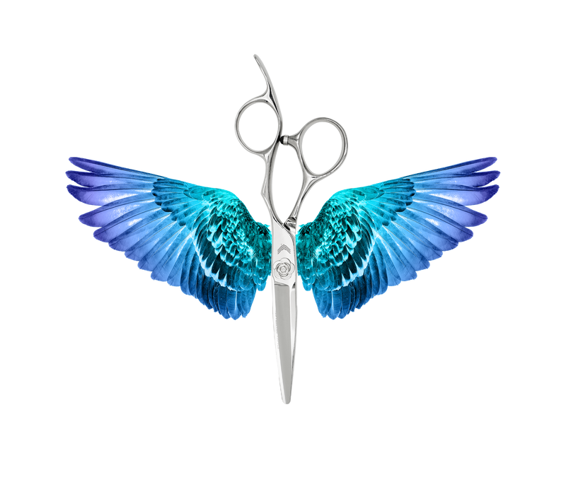 I18n Error: Missing interpolation value "ImageAlt" for "Carica immagine in Galleria Viewer, {{ ImageAlt }}"