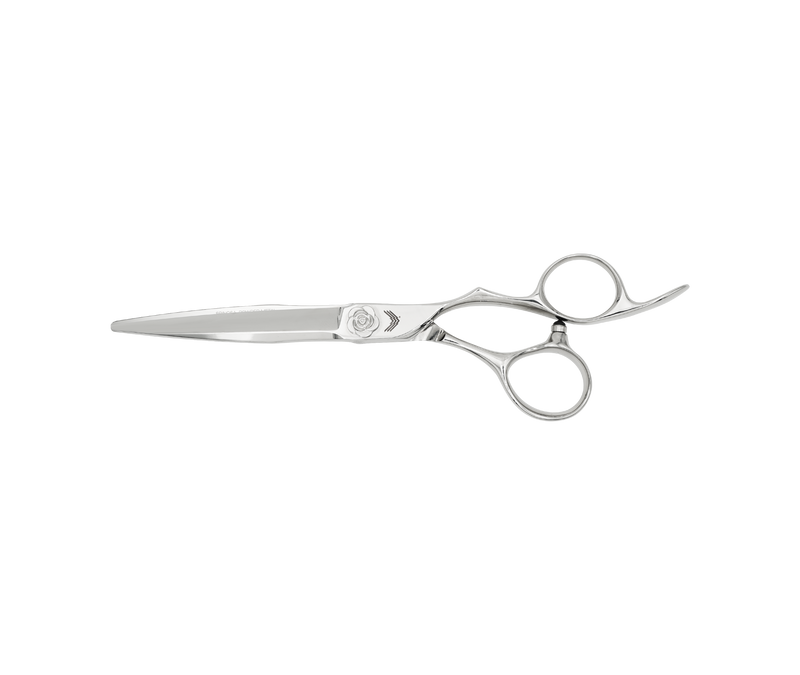 I18n Error: Missing interpolation value "ImageAlt" for "Carica immagine in Galleria Viewer, {{ ImageAlt }}"