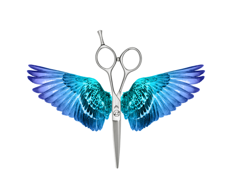 I18n Error: Missing interpolation value "ImageAlt" for "Carica immagine in Galleria Viewer, {{ ImageAlt }}"