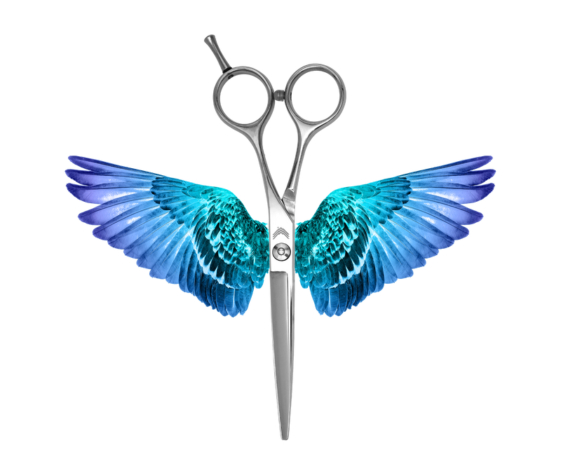 I18n Error: Missing interpolation value "ImageAlt" for "Carica immagine in Galleria Viewer, {{ ImageAlt }}"