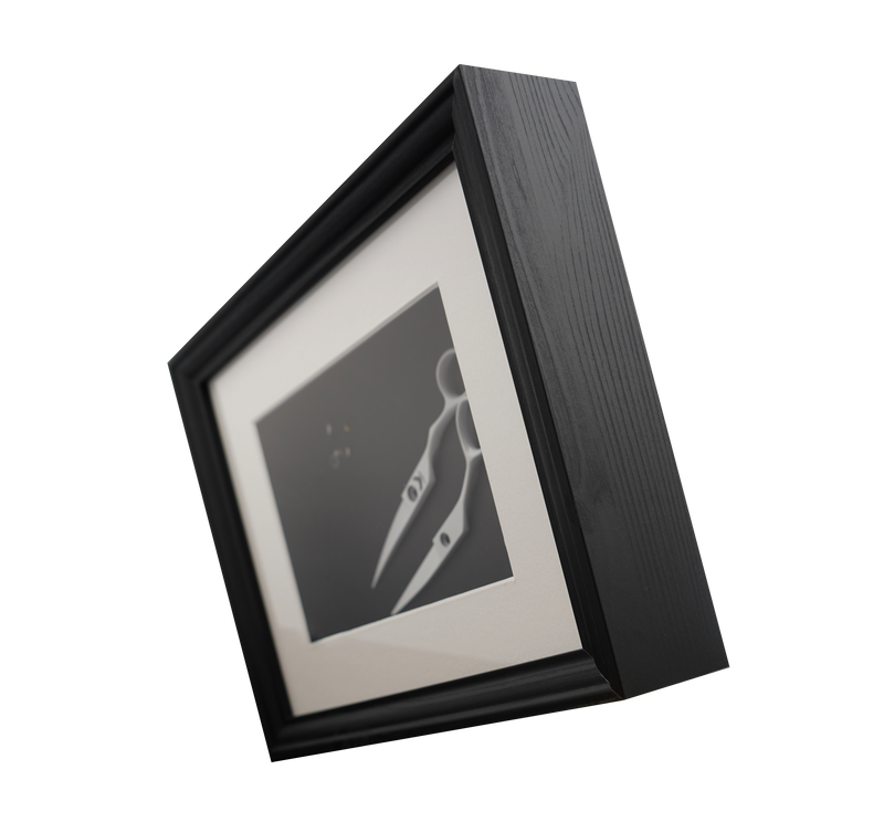 I18n Error: Missing interpolation value "ImageAlt" for "Carica immagine in Galleria Viewer, {{ ImageAlt }}"