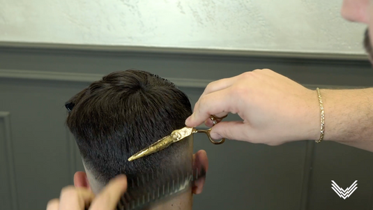 Effetto Graffiato e Razor Fade - Aquila Scissors