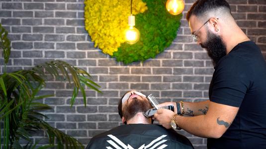 The Beard Ritual - Aquila Scissors