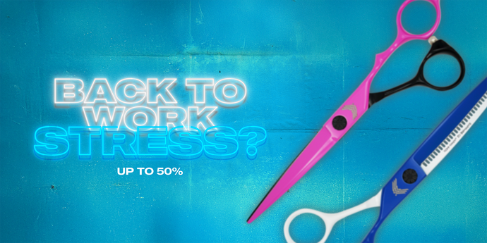 BACK TO WORK PROMO