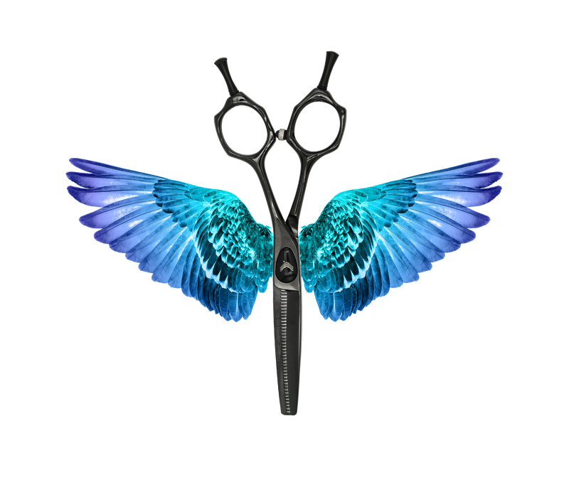 I18n Error: Missing interpolation value "ImageAlt" for "Carica immagine in Galleria Viewer, {{ ImageAlt }}"
