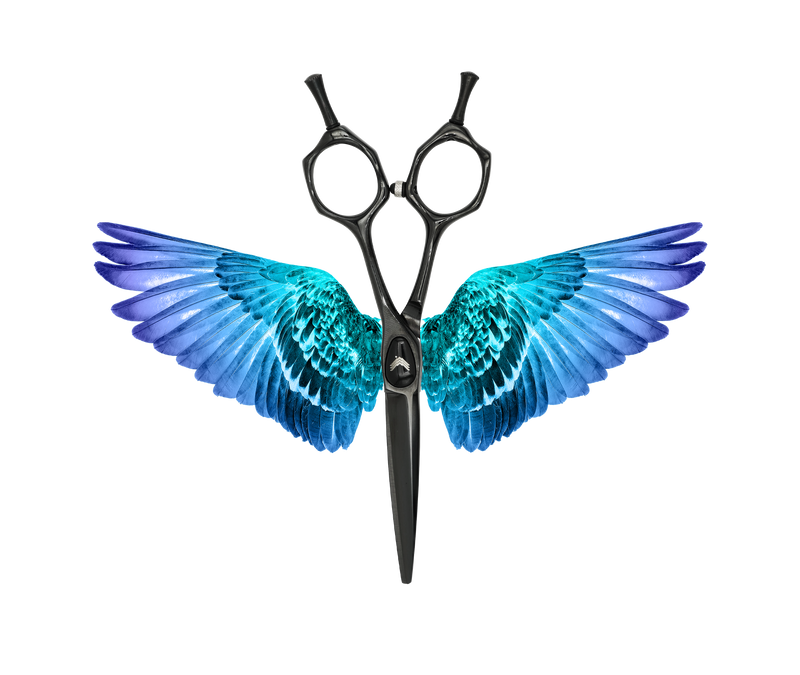 I18n Error: Missing interpolation value "ImageAlt" for "Carica immagine in Galleria Viewer, {{ ImageAlt }}"
