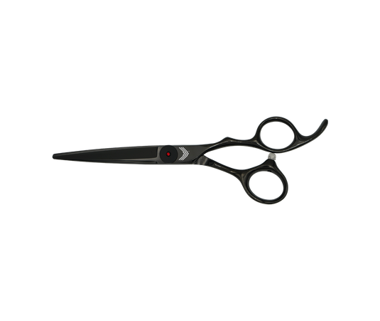 CORVO