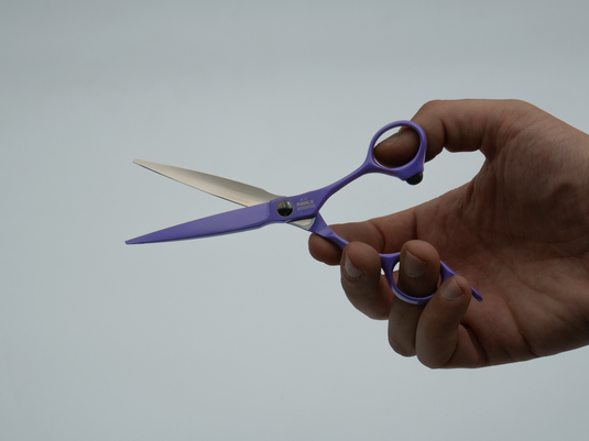 SCORPIONE