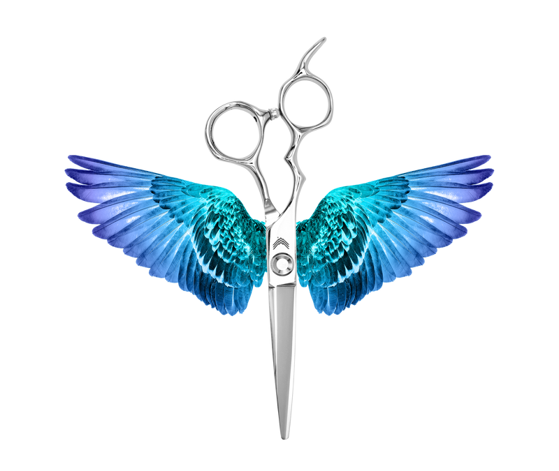 I18n Error: Missing interpolation value "ImageAlt" for "Carica immagine in Galleria Viewer, {{ ImageAlt }}"
