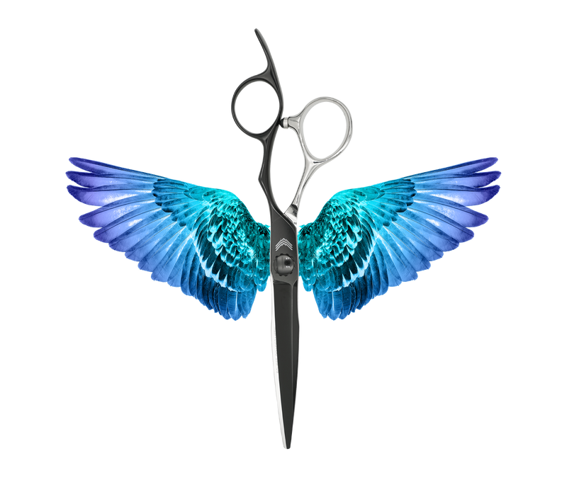 I18n Error: Missing interpolation value "ImageAlt" for "Carica immagine in Galleria Viewer, {{ ImageAlt }}"
