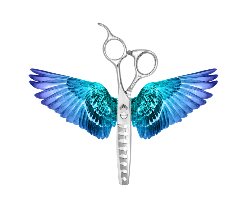 I18n Error: Missing interpolation value "ImageAlt" for "Carica immagine in Galleria Viewer, {{ ImageAlt }}"
