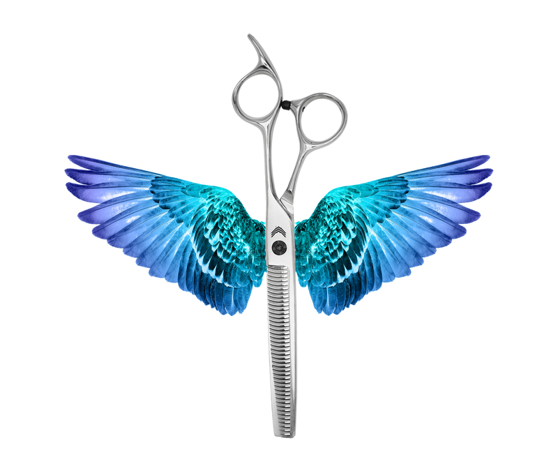 I18n Error: Missing interpolation value &quot;ImageAlt&quot; for &quot;Carica immagine in Galleria Viewer, {{ ImageAlt }}&quot;
