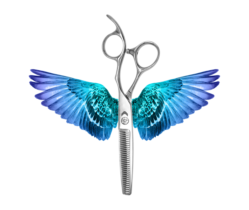 Load image into Gallery viewer, EXTRAVERSO
