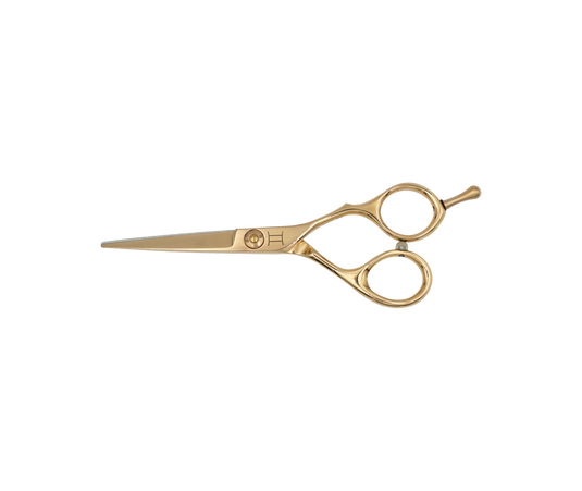 GEMELLI