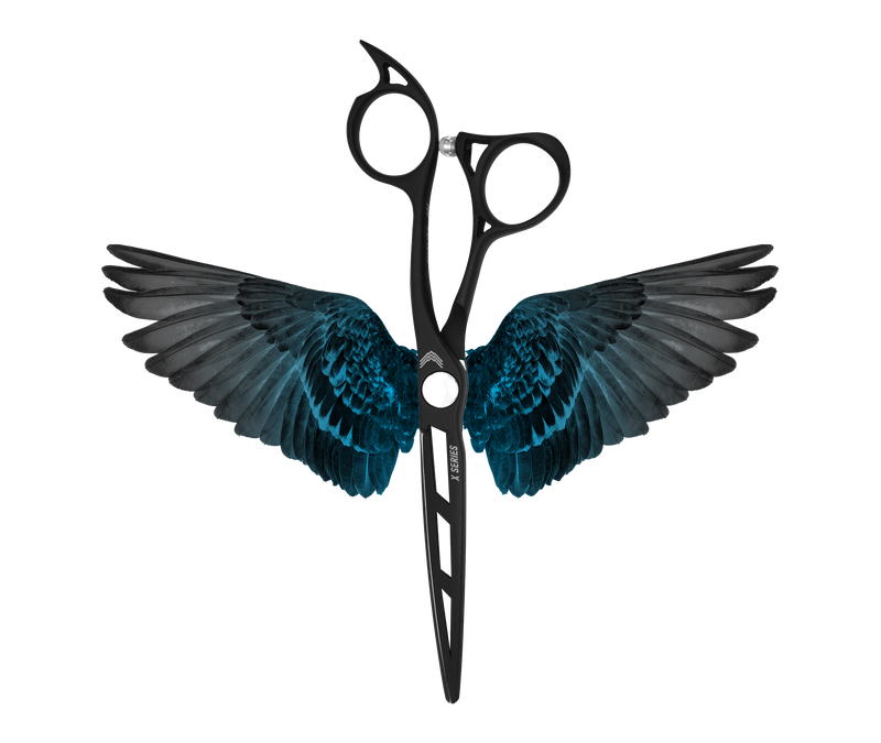 Load image into Gallery viewer, HOLLOW
