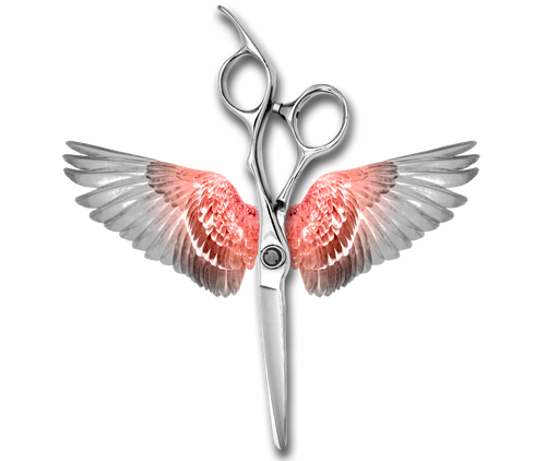 JPC-02 - Aquila Scissors