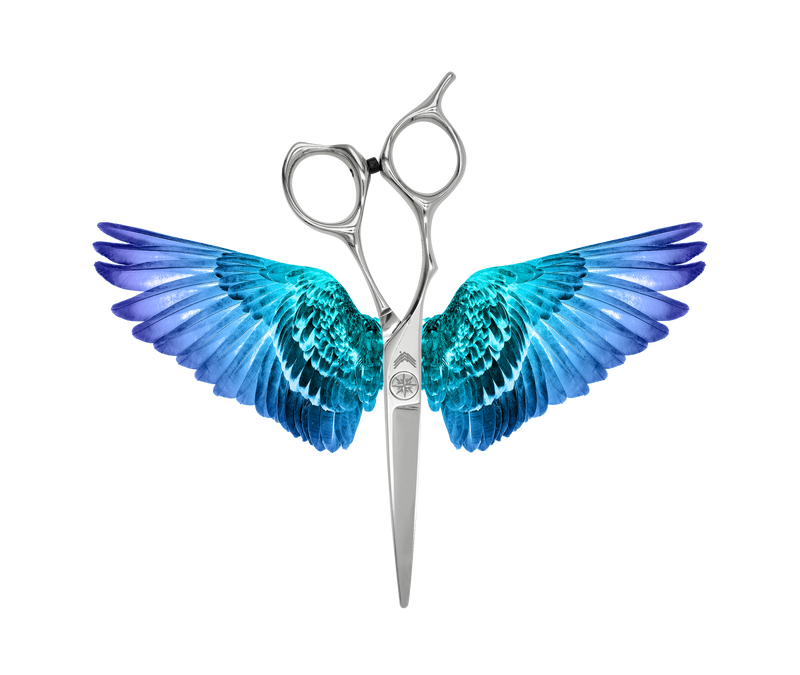 I18n Error: Missing interpolation value "ImageAlt" for "Carica immagine in Galleria Viewer, {{ ImageAlt }}"
