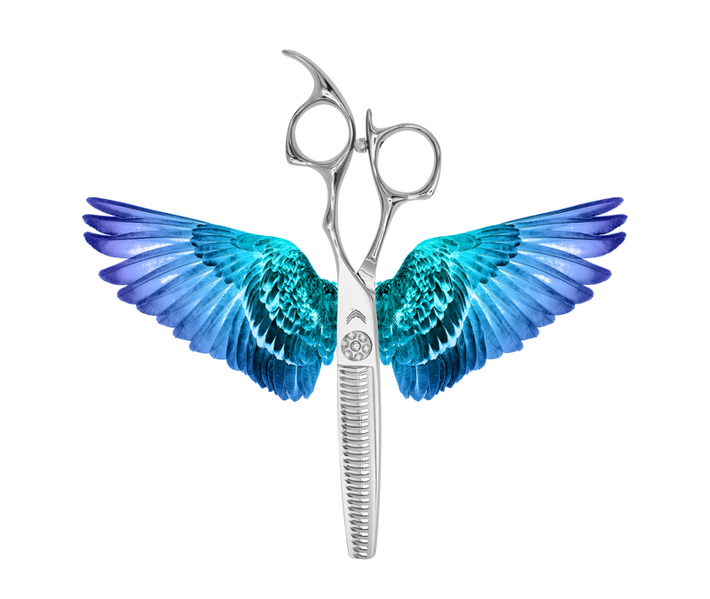 I18n Error: Missing interpolation value "ImageAlt" for "Carica immagine in Galleria Viewer, {{ ImageAlt }}"
