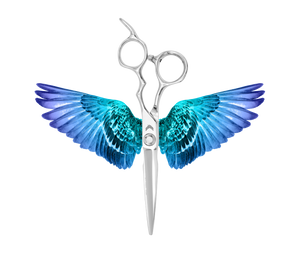 NEXA