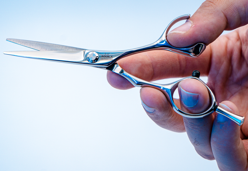 I18n Error: Missing interpolation value &quot;ImageAlt&quot; for &quot;Carica immagine in Galleria Viewer, {{ ImageAlt }}&quot;
