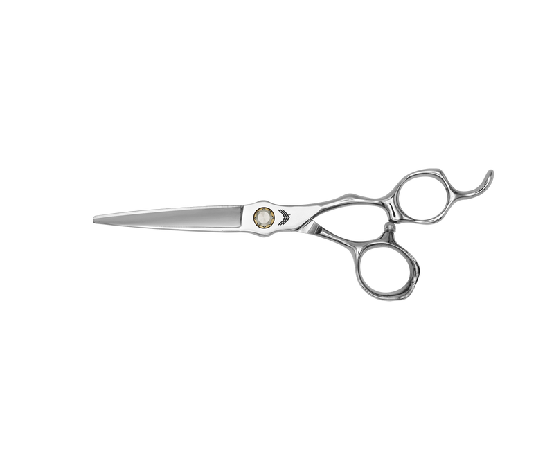 I18n Error: Missing interpolation value "ImageAlt" for "Carica immagine in Galleria Viewer, {{ ImageAlt }}"
