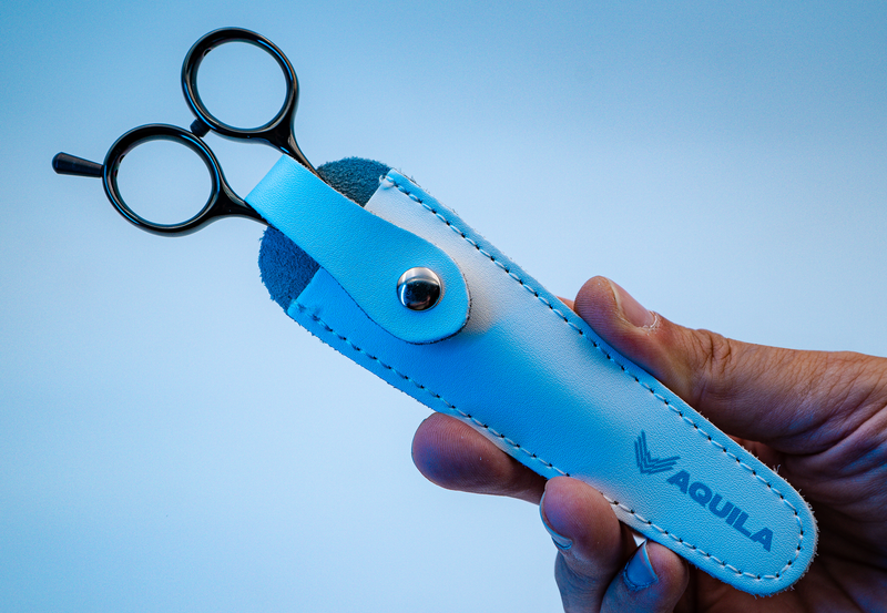 I18n Error: Missing interpolation value "ImageAlt" for "Carica immagine in Galleria Viewer, {{ ImageAlt }}"
