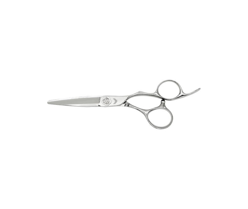 I18n Error: Missing interpolation value "ImageAlt" for "Carica immagine in Galleria Viewer, {{ ImageAlt }}"
