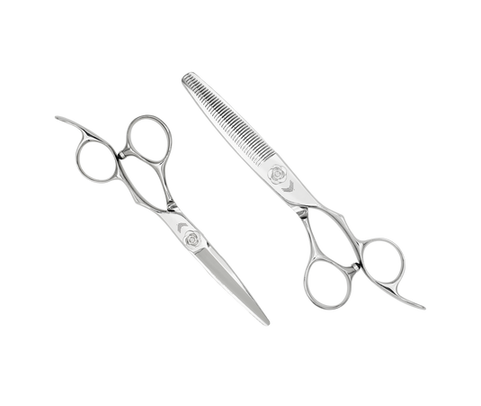 KIT SPINOSA