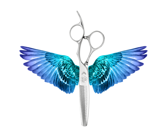 SPINOSA (SFOLTITRICI)