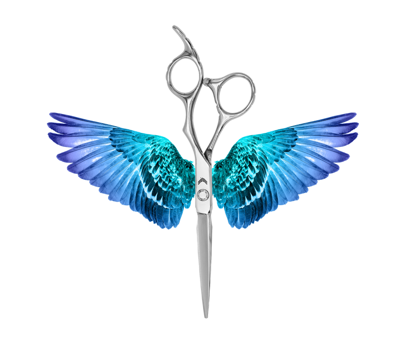 I18n Error: Missing interpolation value "ImageAlt" for "Carica immagine in Galleria Viewer, {{ ImageAlt }}"
