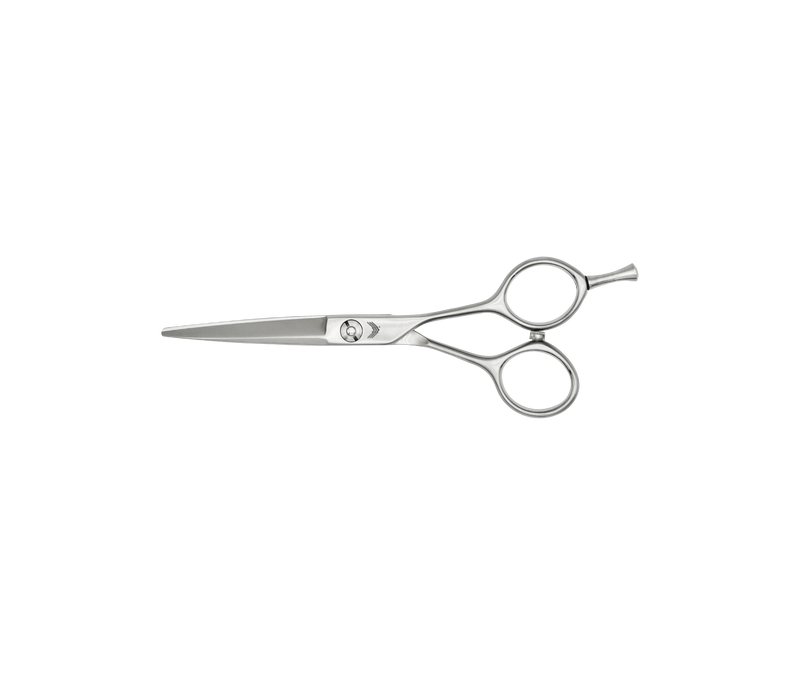 I18n Error: Missing interpolation value "ImageAlt" for "Carica immagine in Galleria Viewer, {{ ImageAlt }}"
