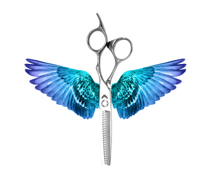 Load image into Gallery viewer, TRIXTER
