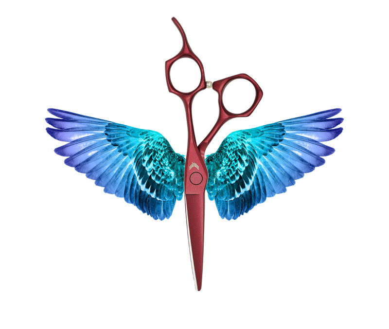 I18n Error: Missing interpolation value "ImageAlt" for "Carica immagine in Galleria Viewer, {{ ImageAlt }}"
