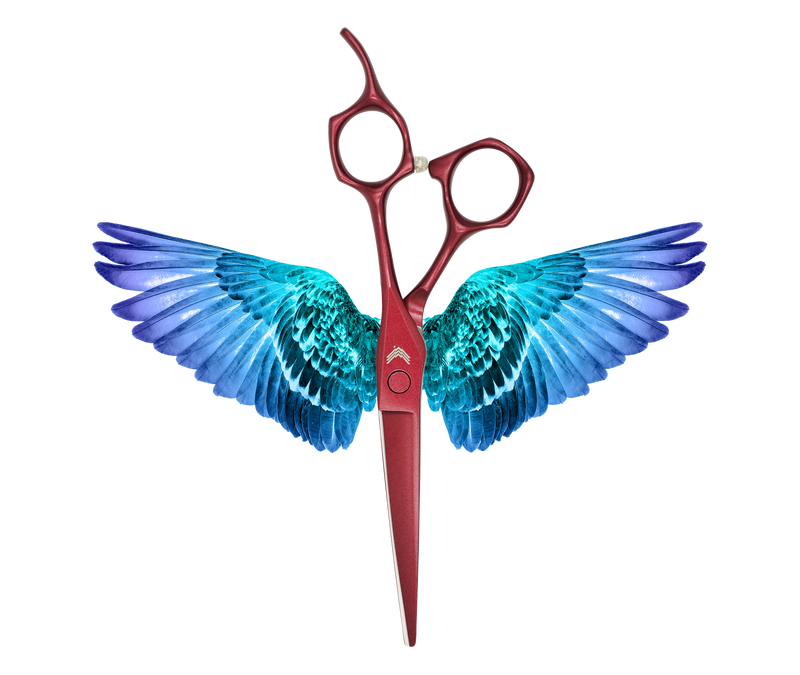 I18n Error: Missing interpolation value "ImageAlt" for "Carica immagine in Galleria Viewer, {{ ImageAlt }}"
