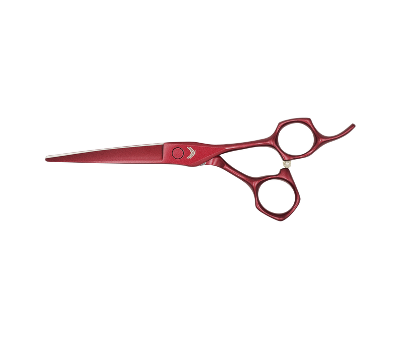 I18n Error: Missing interpolation value "ImageAlt" for "Carica immagine in Galleria Viewer, {{ ImageAlt }}"
