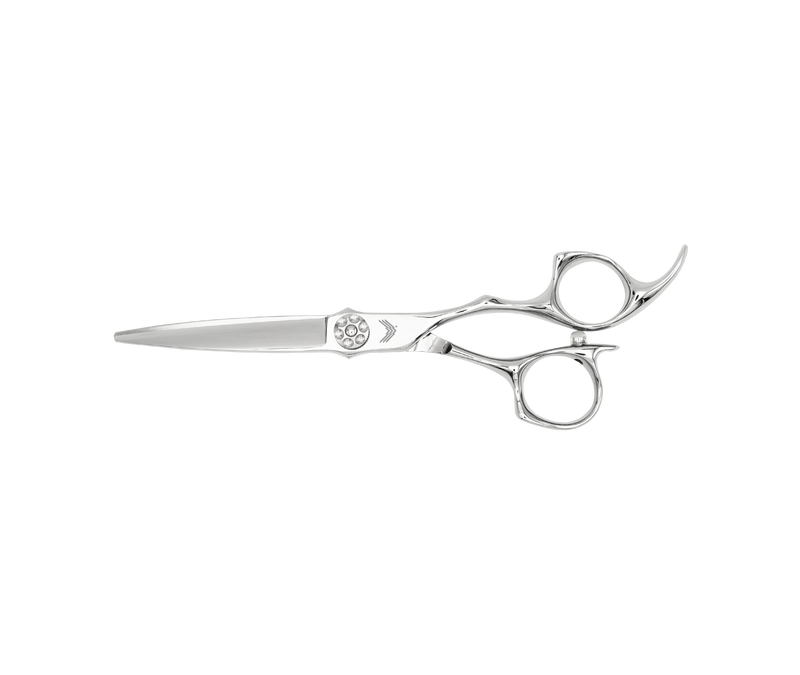 I18n Error: Missing interpolation value "ImageAlt" for "Carica immagine in Galleria Viewer, {{ ImageAlt }}"
