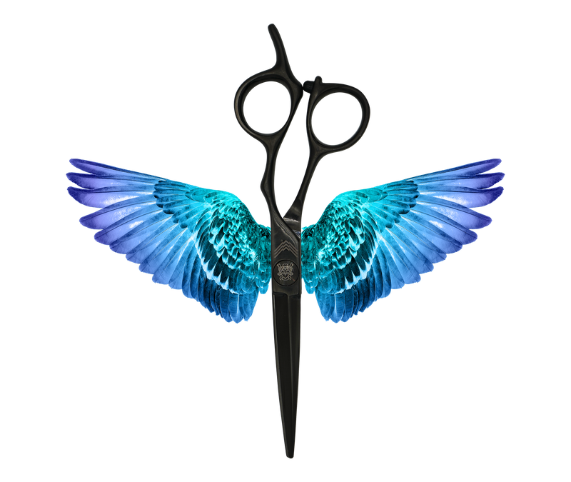 I18n Error: Missing interpolation value &quot;ImageAlt&quot; for &quot;Carica immagine in Galleria Viewer, {{ ImageAlt }}&quot;
